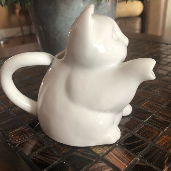 CAT Pitcher - Picture 4 of 7